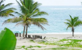 Beach-View